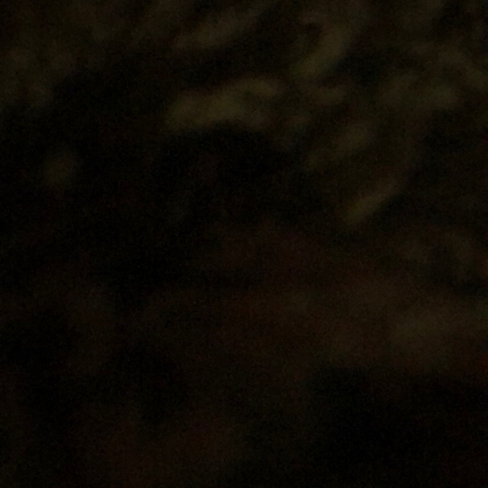 Meet your Posher, Adriana